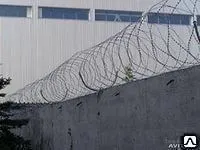 фото Проволока колючая Егозавр СББ