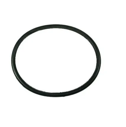 Фото №0 Уплотнительное кольцо для посудомоечной машины Candy (Канди)