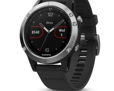 фото Часы Garmin Fenix 5 серебристые с черным ремешком