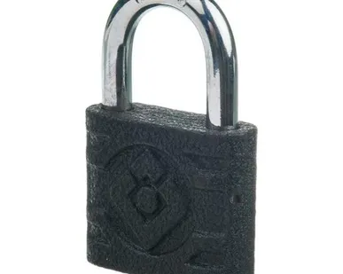 фото Замок навесной PALLADIUM 305F-50