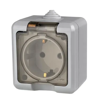 Фото №1 Розетка 1-м ОП Dita 16А IP54 250В с заземл. с прозрачн. крышкой сер. TOKOV LIGHT TKL-DT-R1Z-C06T-IP54