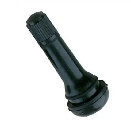 Фото №0 Пипка для бескамерной шины