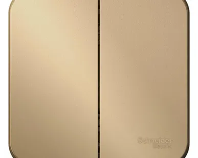 фото Выключатель 2-кл. ОП Blanca 10А IP20 (сх. 5) 250В с изолир. пластиной титан SE BLNVA105014