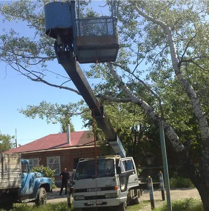 Фото №0 СПИЛ И ОБРЕЗКА ДЕРЕВЬЕВ В ТАГАНРОГЕ ЛЮБОЙ СЛОЖНОСТИ