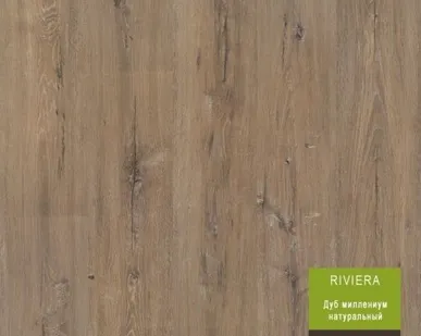 фото ЛАМИНАТ BERRY ALLOC riviera Дуб Миллениум Натуральный (Endless®, WoodStruct