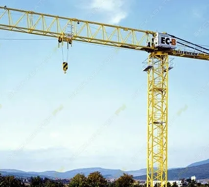 Фото №1 Аренда башенного крана Liebherr 90 EC-B 6, Москва