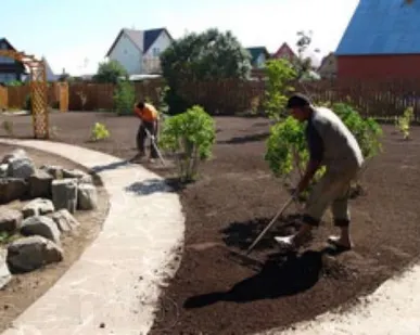 фото Посев рулонного газона
