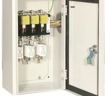 фото Ящик с рубильником и предохранителями ЯРП TDM 100А IP54 (с ППНН) (1)