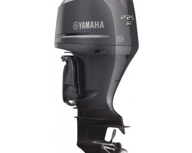 фото Лодочный мотор Yamaha (Ямаха) F 225 FETX