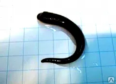 фото Пиявки (10шт)