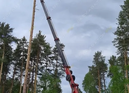 Фото №1 Аренда автовышки (автогидроподъемника) Horyong SKY 280, Екатеринбург