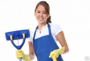 Фото №0 Чистка рулонных штор