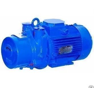 фото Насос вакуумный ВВН1-3 без влагоотделителя (ЛГМ)