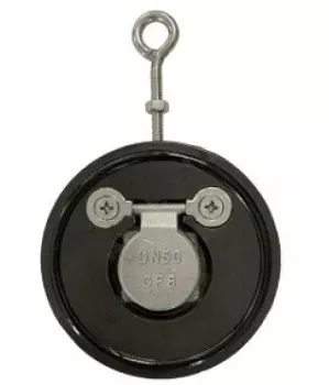 Фото №0 Клапан обратный межфланцевый одностворчатый д80 Py16, нерж Benarmo