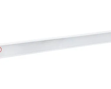 фото Накладной аварийный светодиодный светильник OS-NIP-44-A3-20L