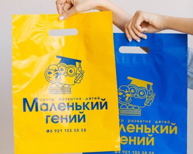 фото Пакет с вырубной ручкой "Гений"