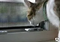 Фото №0 Сетка на окна антикошка