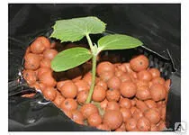 Фото №0 Керамзит