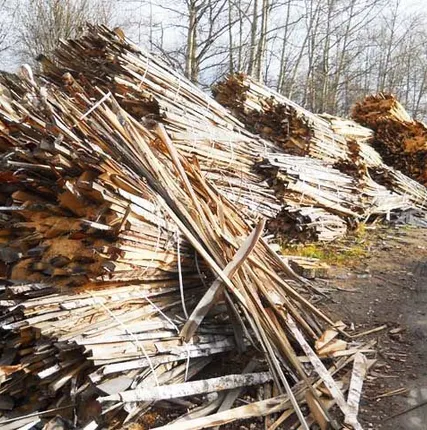 Фото №0 Горбыль хвоя