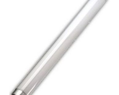 фото Лампа люминесцентная L 18W/640 G13 ярко-белая OSRAM, (25 шт/ уп) (шт)