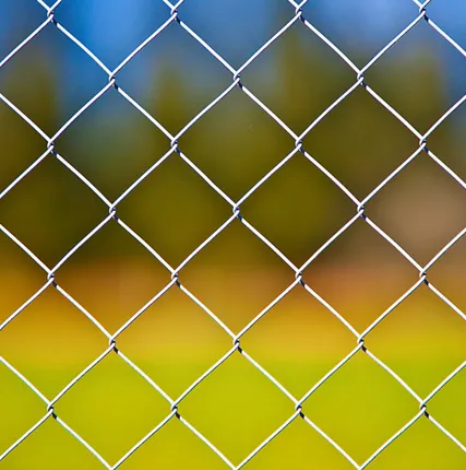 Фото №0 Сетка рабица