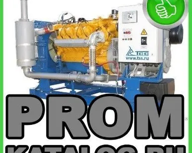 фото Газовые электростанции (газовые генераторы) ТСС
