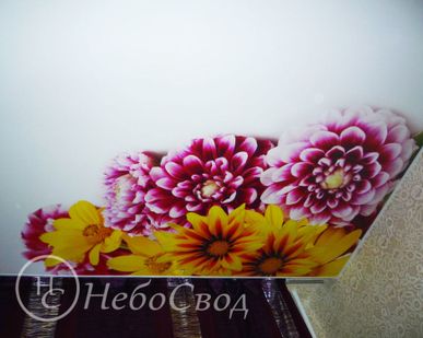 фото Художественные натяжные потолки
