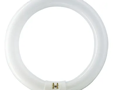 фото Лампа люминесцентная кольцевая 22W/840 C G10Q OSRAM