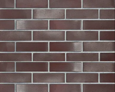 фото Roben Кирпич Roben ADELAJDA 19 burgund glatt NF-SP (240x65x71)