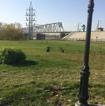 Фото №0 Устройство газонов