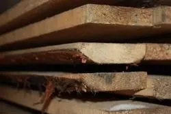 Фото №0 Доска (дачная) обрезная 25х150х1,2