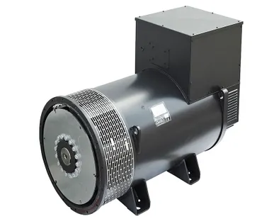 фото Mecc Alte ECO40-VL/4 (600 кВт)