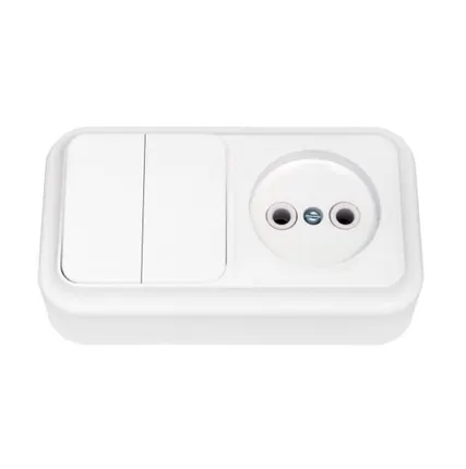 Фото №0 СВЕТОПРИБОР Блок Пралеска 2 клав.выкл+розетка б/з ОУ белый 250В 2В-РЦ-523 СВЕТОПРИБОР