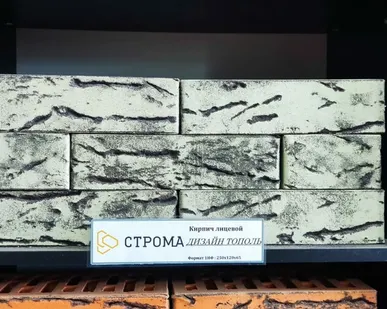 фото СТРОМА Тополь 1НФ