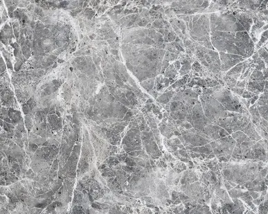 фото Керамический гранит ALMA CERAMICA Canica 600х600 GFU04CAN77R