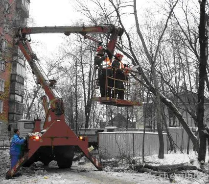 Фото №0 Спил и обрезка деревьев