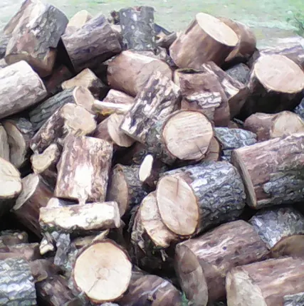 Фото №0 Дрова (дуб,берёза,сосна)