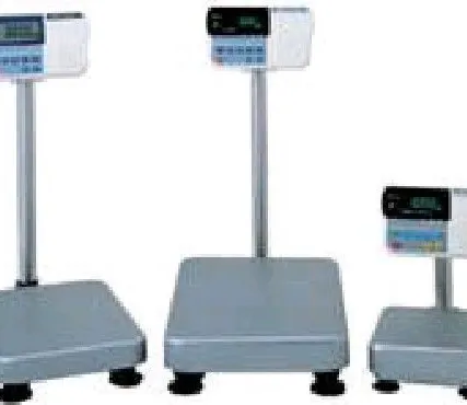 Фото №0 Весы платформенные HW-100KGL