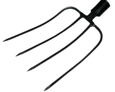 фото Вилы садовые навозные