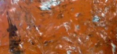 фото Подступенок, шт