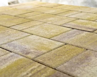 фото Тротуарная плитка браер ЛАНДХАУС СТЕПЬ