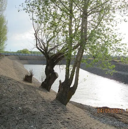 Фото №0 Услуги берегоукрепления