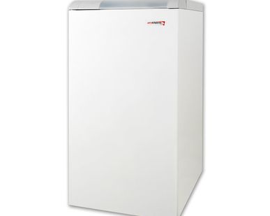фото Protherm Котел напольный Медведь 20TLO