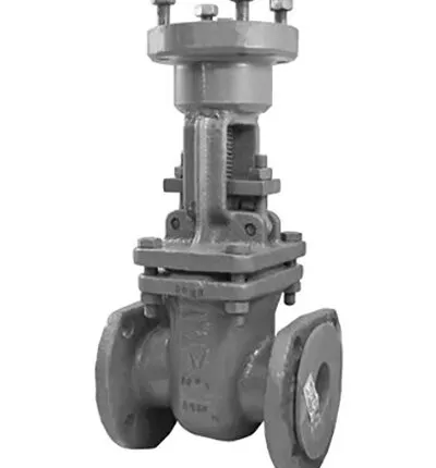 Фото №0 30ЛС941НЖ задвижка из легированной стали от производителя