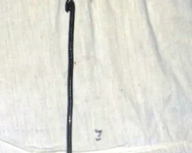 фото Костыленаддергиватель