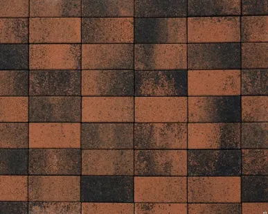 фото Тротуарная плитка ПРЯМОУГОЛЬНИК гранитная фактура листопад мустанг