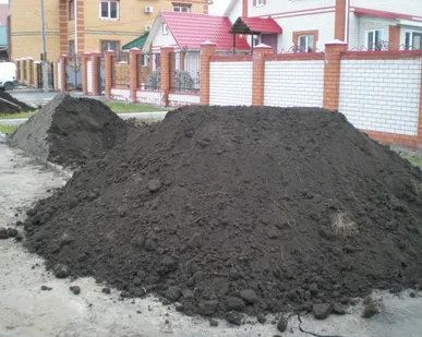 фото Земля плодородная (грунт растительный)