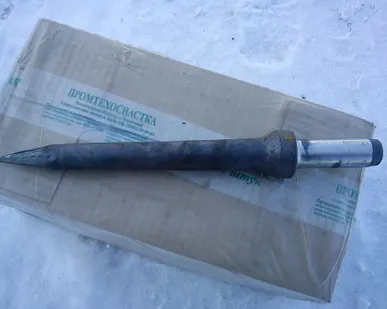 фото Пика острая П-11