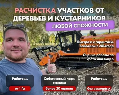 фото Расчистка заросших полей от деревьев от 1 Га