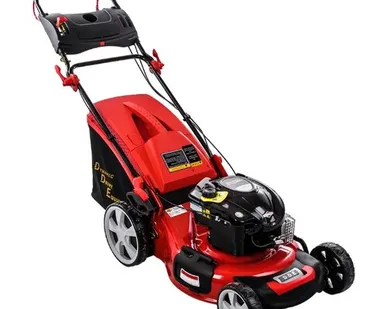 фото Газонокосилка DDE LMS 51-70 DB